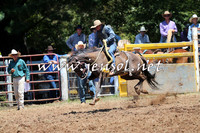 Taralga2015_3751