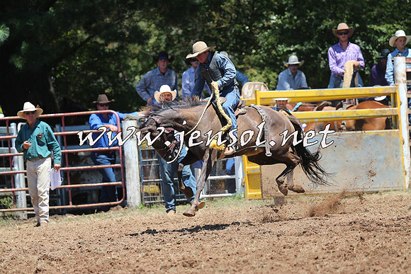 Taralga2015_3751