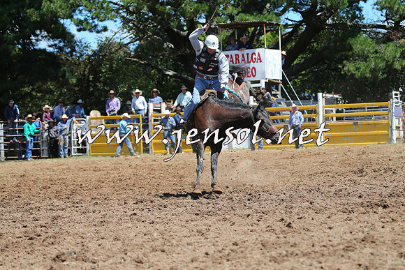 Taralga2015_4157