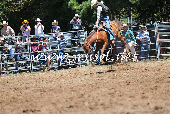 Taralga2015_3794