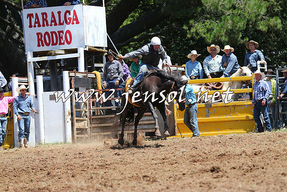 Taralga2015_3950