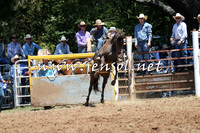 Taralga2015_3732
