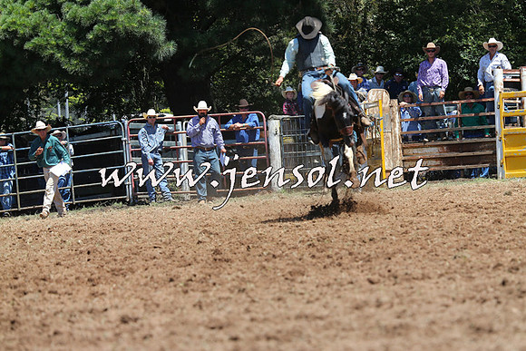 Taralga2015_3877