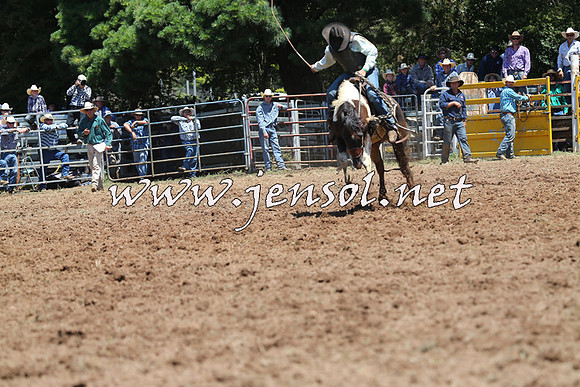 Taralga2015_3891