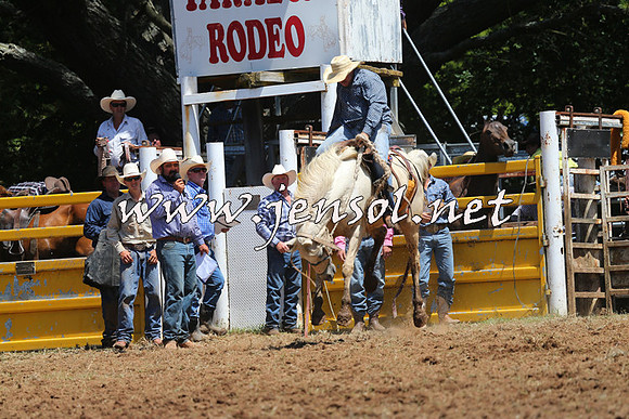 Taralga2015_3979