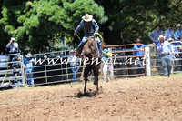 Taralga2015_3749