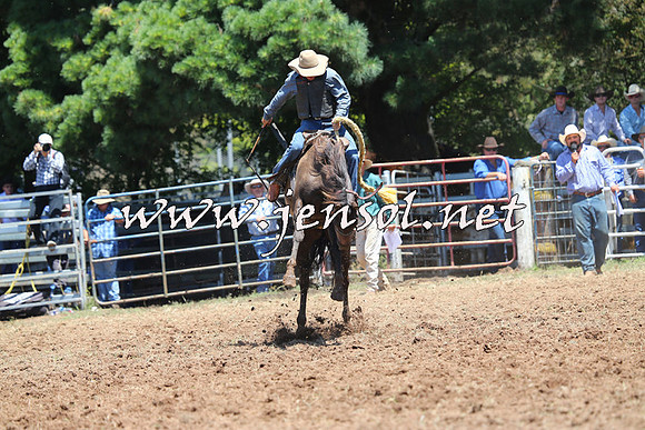 Taralga2015_3749