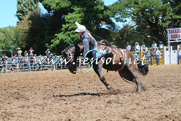 Taralga2015_4160