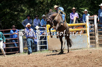 Taralga2015_3738