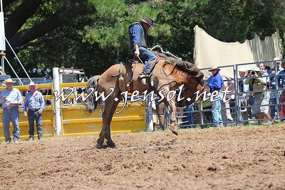 Taralga2015_4197