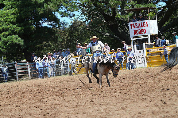 Taralga2015_4067