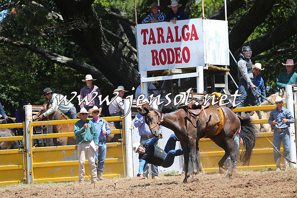 Taralga2015_4098