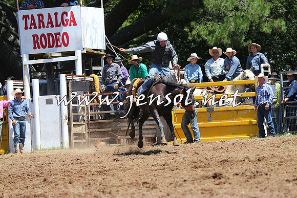 Taralga2015_3952