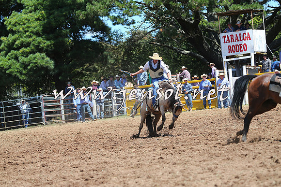 Taralga2015_4055