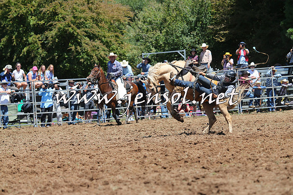 Taralga2015_4126