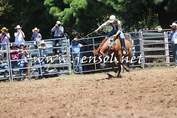 Taralga2015_3797