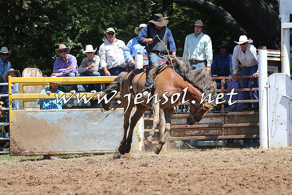 Taralga2015_4173