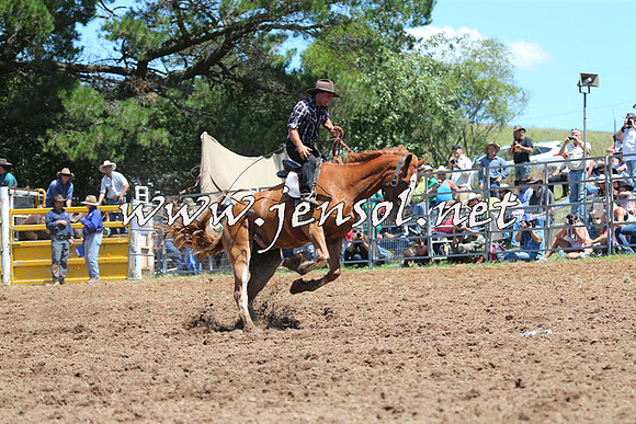 Taralga2015_4019