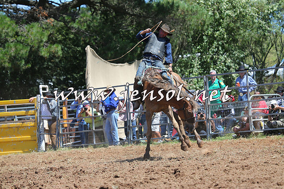 Taralga2015_4208