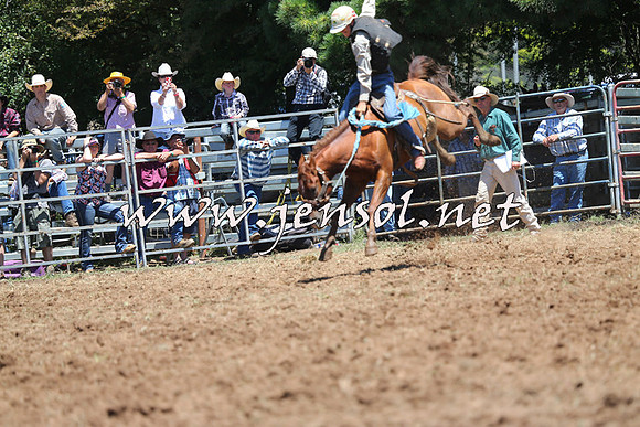 Taralga2015_3789