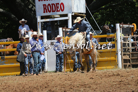 Taralga2015_3980