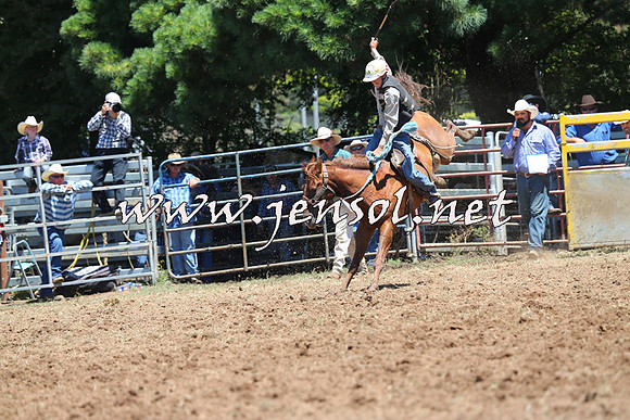 Taralga2015_3792
