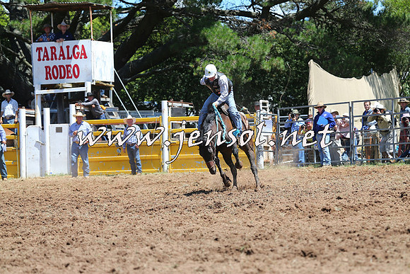 Taralga2015_4152
