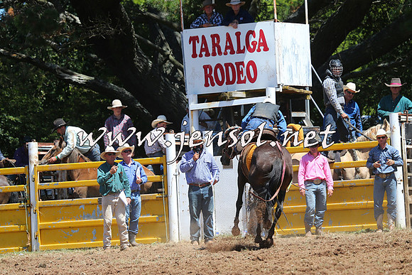 Taralga2015_4090