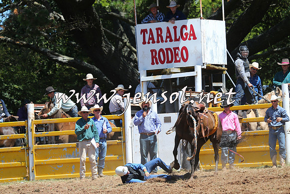 Taralga2015_4102