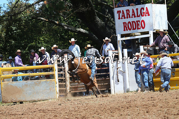 Taralga2015_3936