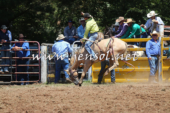 Taralga2015_3850
