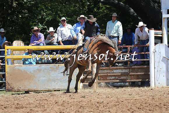 Taralga2015_4171