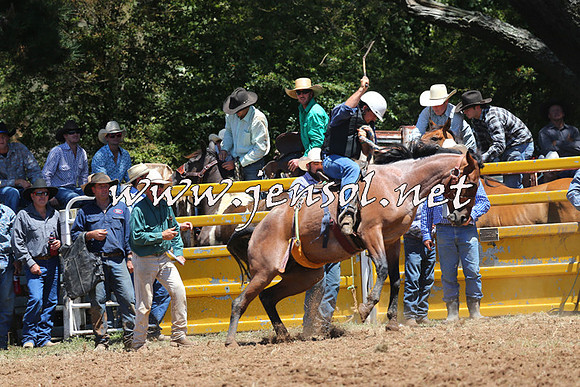 Taralga2015_3823
