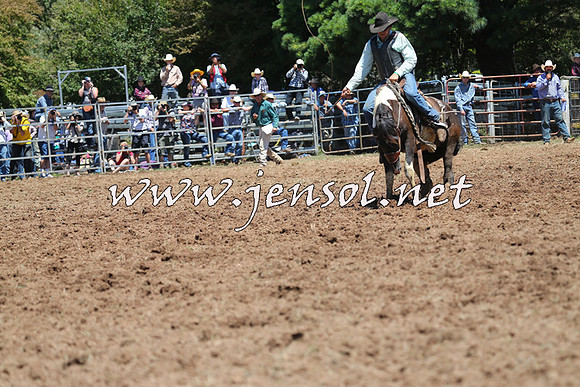 Taralga2015_3914