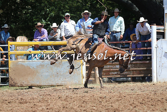 Taralga2015_4169