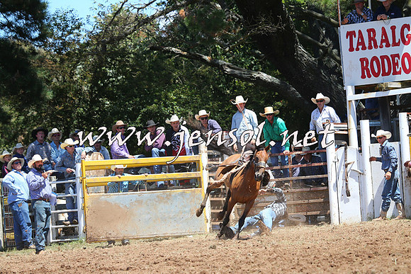 Taralga2015_3942
