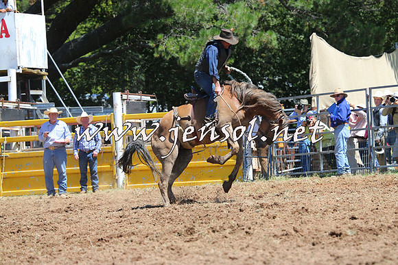 Taralga2015_4200