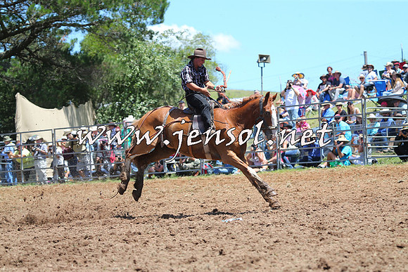 Taralga2015_4037