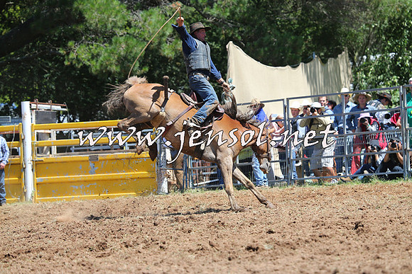 Taralga2015_4188