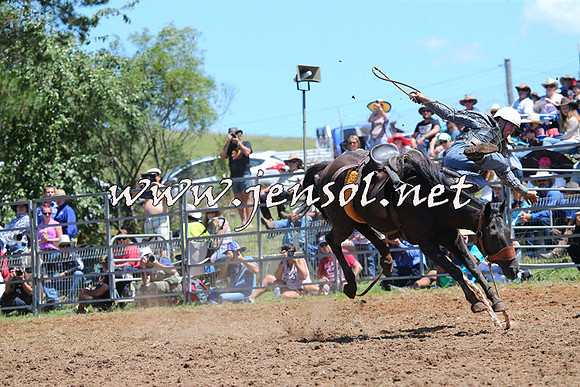 Taralga2015_3963