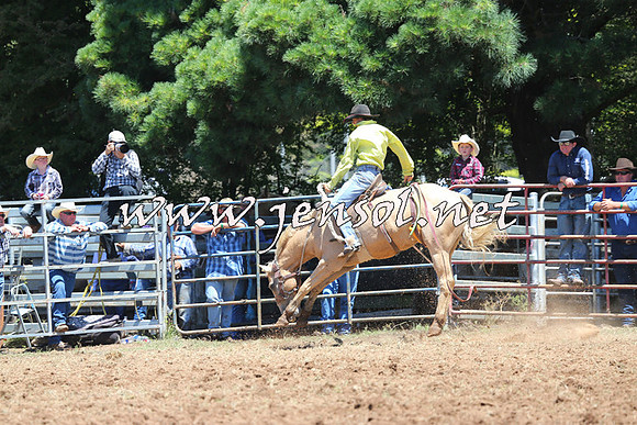 Taralga2015_3867