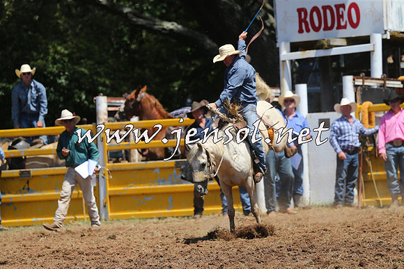 Taralga2015_3995