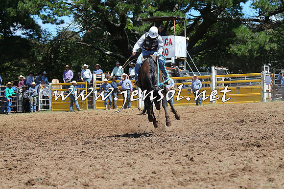 Taralga2015_4156