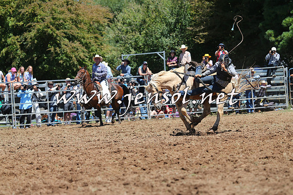 Taralga2015_4128