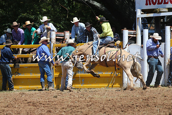 Taralga2015_3853