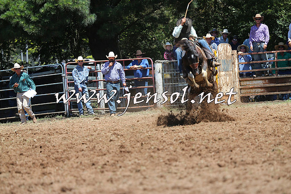Taralga2015_3875