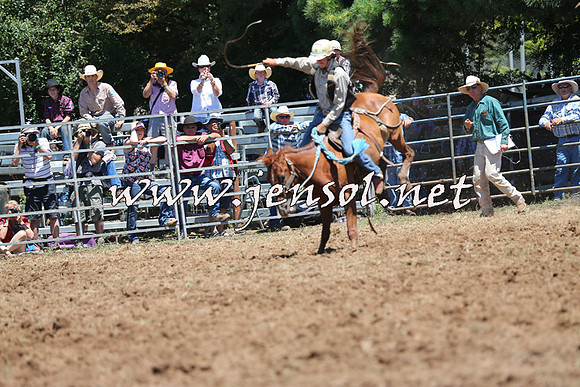 Taralga2015_3786
