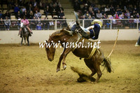 RDAug2013_0653