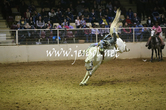 RDAug2013_0664