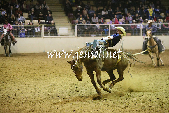 RDAug2013_0651